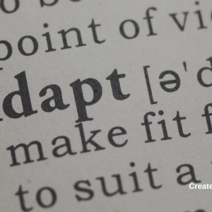 3165 The Art of Adaptability