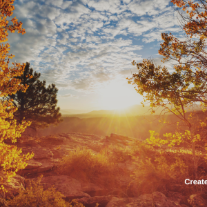 3207 Different Seasons Bring New Beginnings